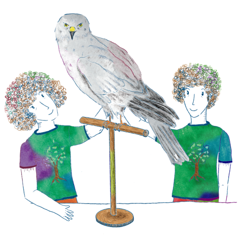 Ilustración para Cuento Lucho y la lucha por el cole rural