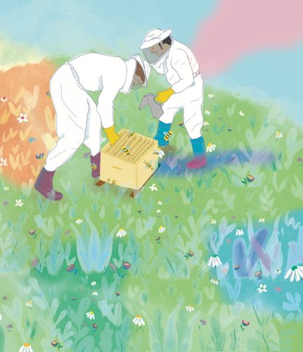 Ilustración para Cuento BeeBee ¡Todos a Una!